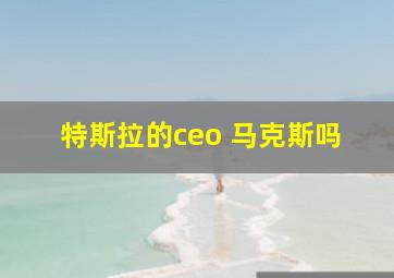 特斯拉的ceo 马克斯吗